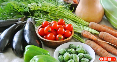 お子さんも安心して食べられる農薬、肥料不使用栽培『自然ファームハレトケの野菜ボックス』